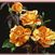 Oranges & Lemons