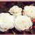Boule de Neige