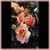 Nancy Reagan Rose