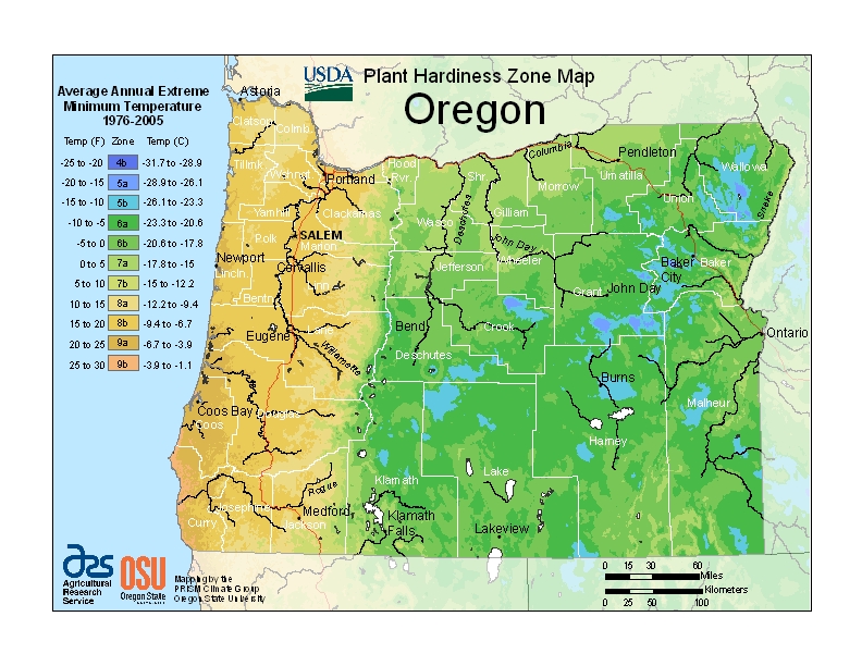 Usda Hardiness Zone Map